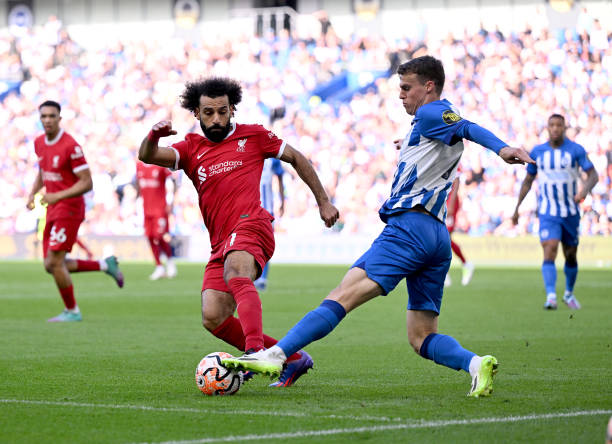 更是一种自 更是一种自